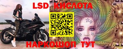 соль ск Новодвинск