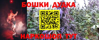 ECSTASY Новозыбков