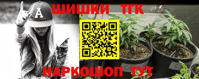 соль ск Новодвинск