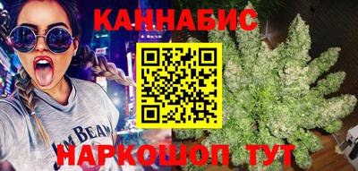 соль ск Новодвинск