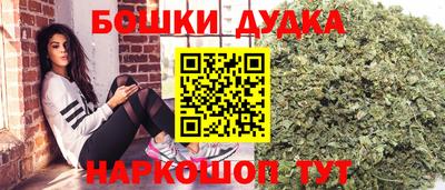 ECSTASY Новозыбков