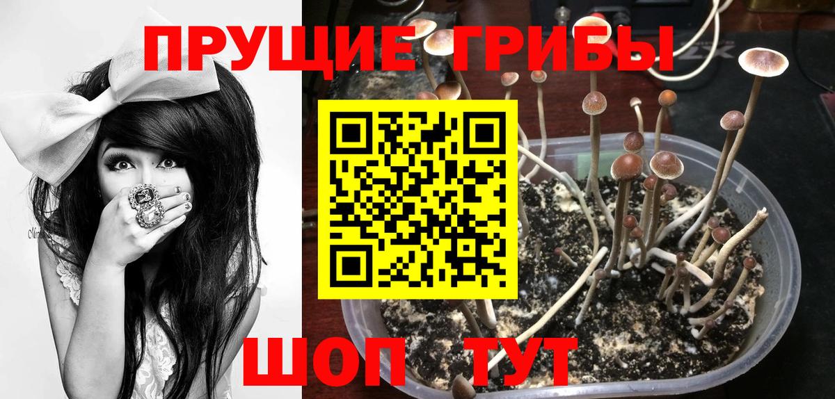 Галлюциногенные грибы Cubensis Улан-Удэ