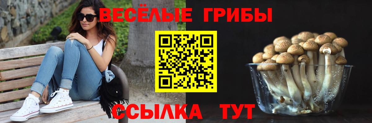 Псилоцибиновые грибы ЛСД  Вход с VPN  Улан-Удэ 